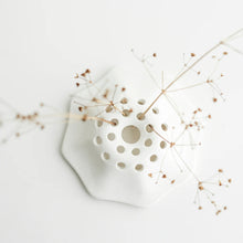 Load image into Gallery viewer, Fungi Floral Frog