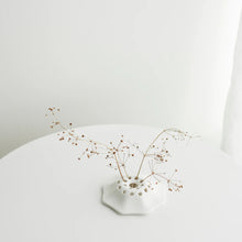 Load image into Gallery viewer, Fungi Floral Frog