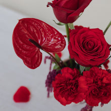Load image into Gallery viewer, Burning Love