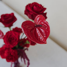 Load image into Gallery viewer, Burning Love