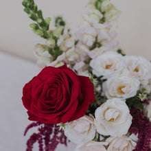 Load image into Gallery viewer, Love Letter