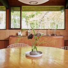 Load image into Gallery viewer, Oval Stone Frog