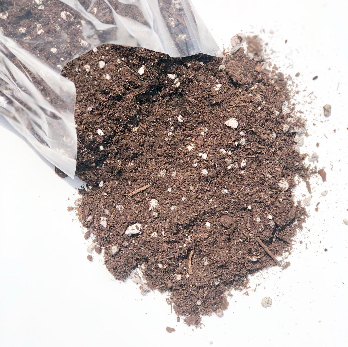 Succulent & Cacti Soil? You need it!