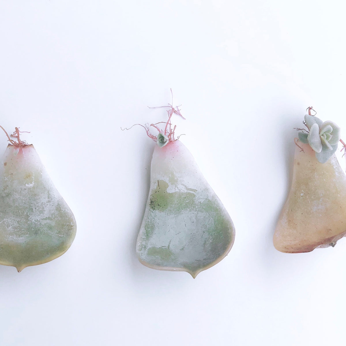 Propagation