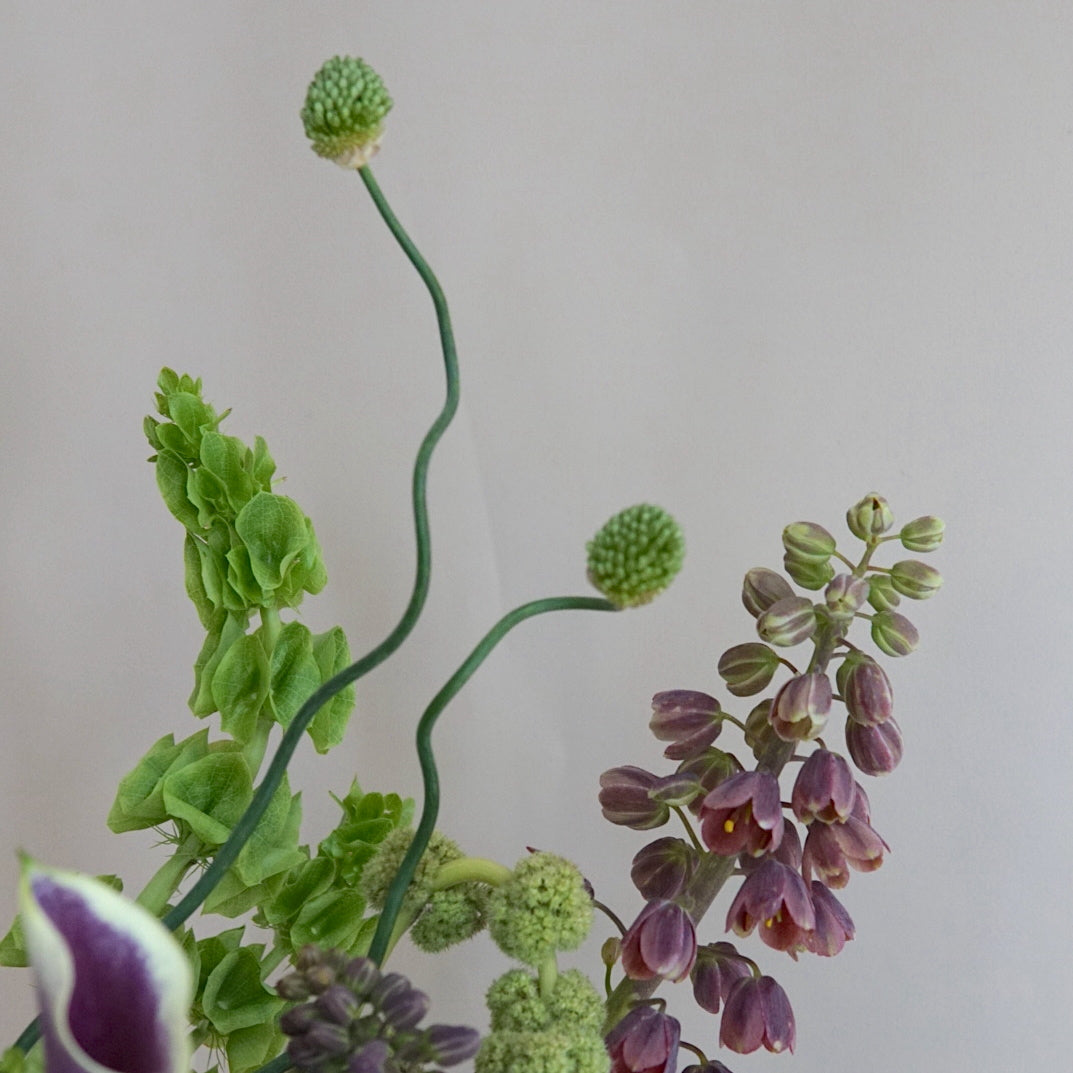 Special Occasion Florals + Wearables