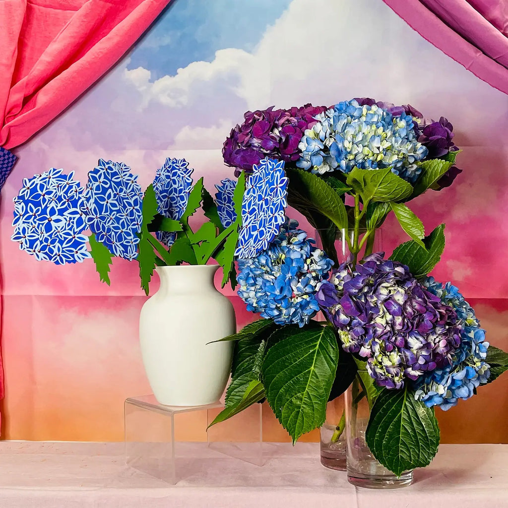 Hydrangea - Forever Flower