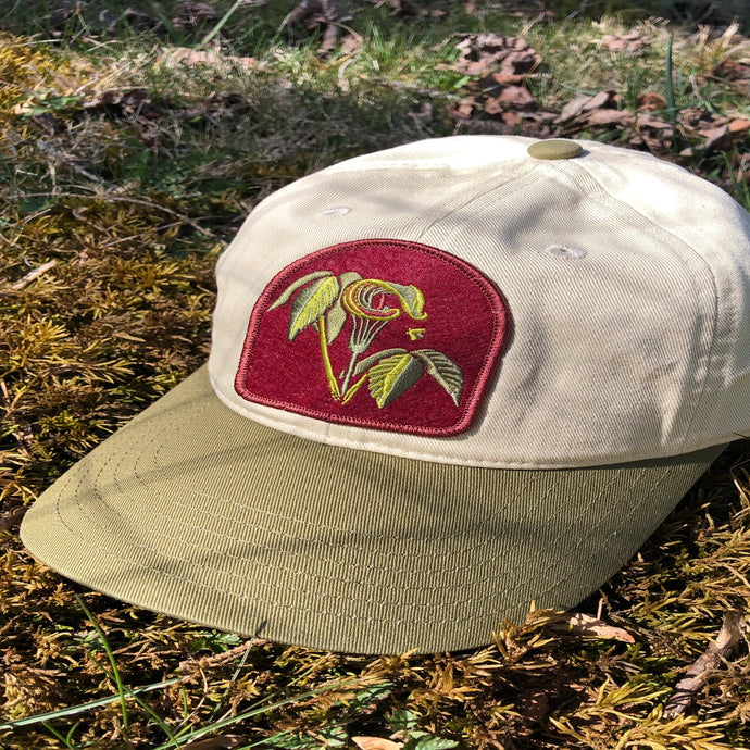 Beige and earthy green baseball hat with embroidered Jack in the Pulpit native plant