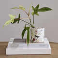 A potted houseplant with green leaves sits in a unique and trendy planter. The planter is white with a delicate multicolor floral, horse, fruit, flower and bird illustration pattern.