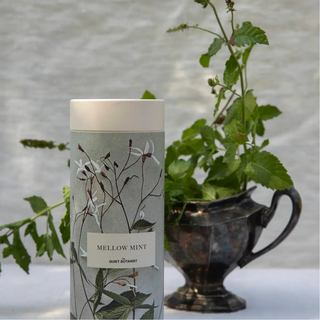 Mellow Mint herbal loose leaf tea with tea steeper 