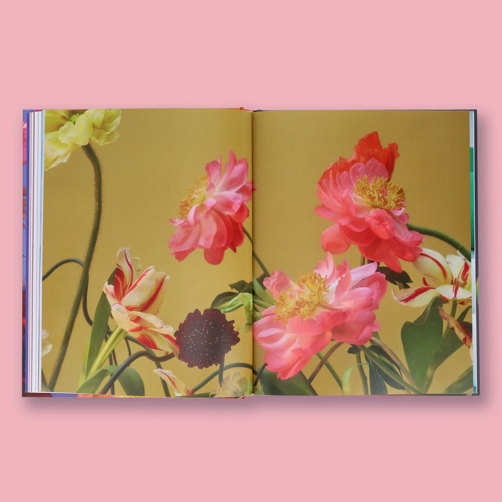 Open book with peonies on a pink background