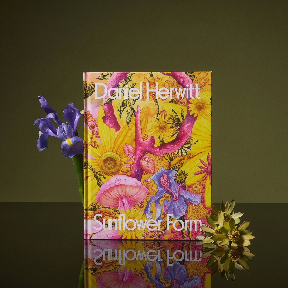 Sunflower Art Form Art Book: Daniel Herwitt
