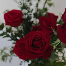 Load image into Gallery viewer, A Dozen Roses - White or Red
