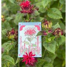 Load image into Gallery viewer, Sow The Magic - Assorted Flower Seeds
