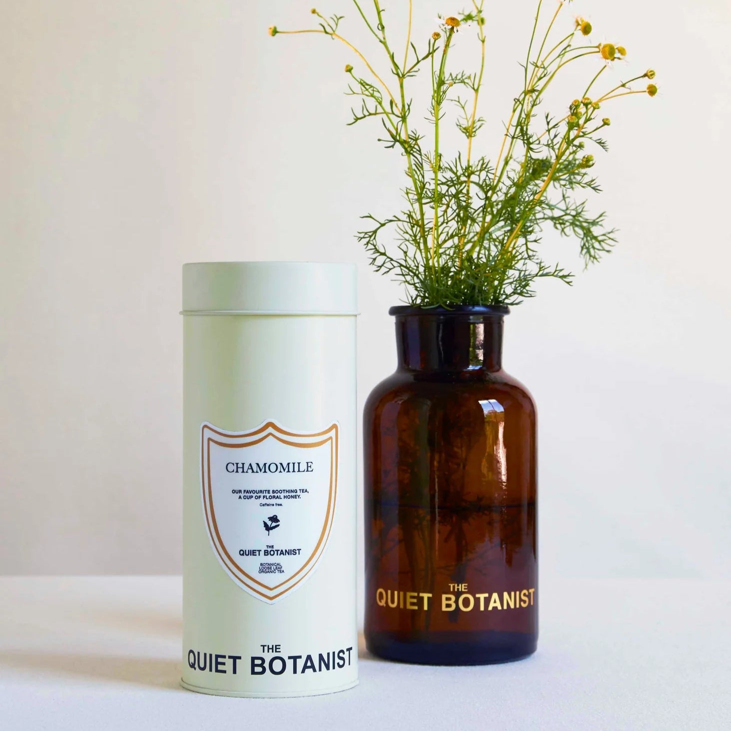 Quiet Botanist Chamomile Tea