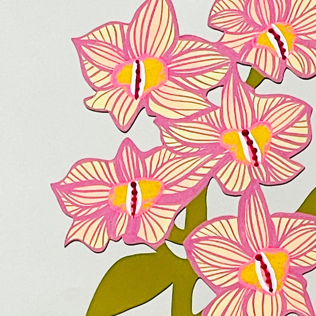 Dendrobium Orchid - Forever Flower