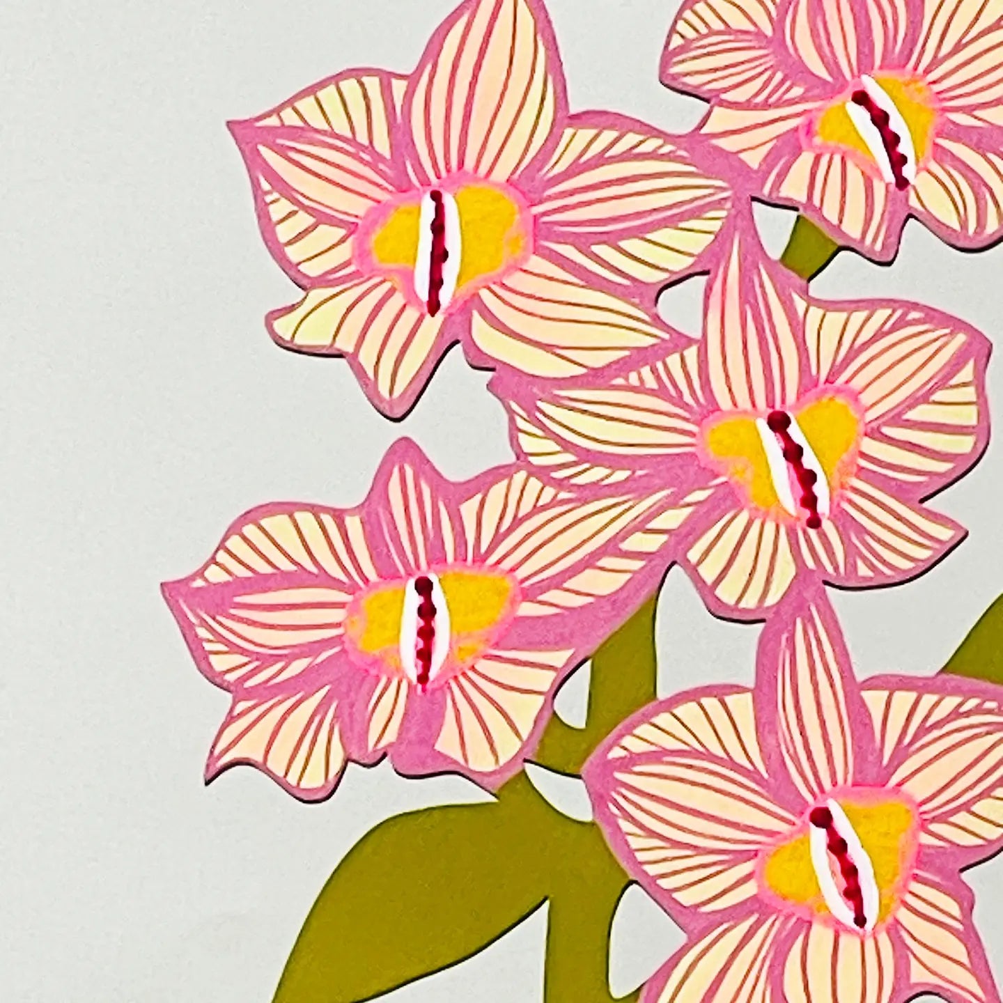 Dendrobium Orchid - Forever Flower