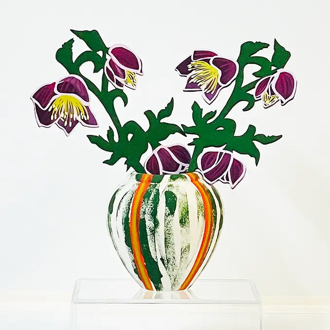 Hellebore - Forever Flower