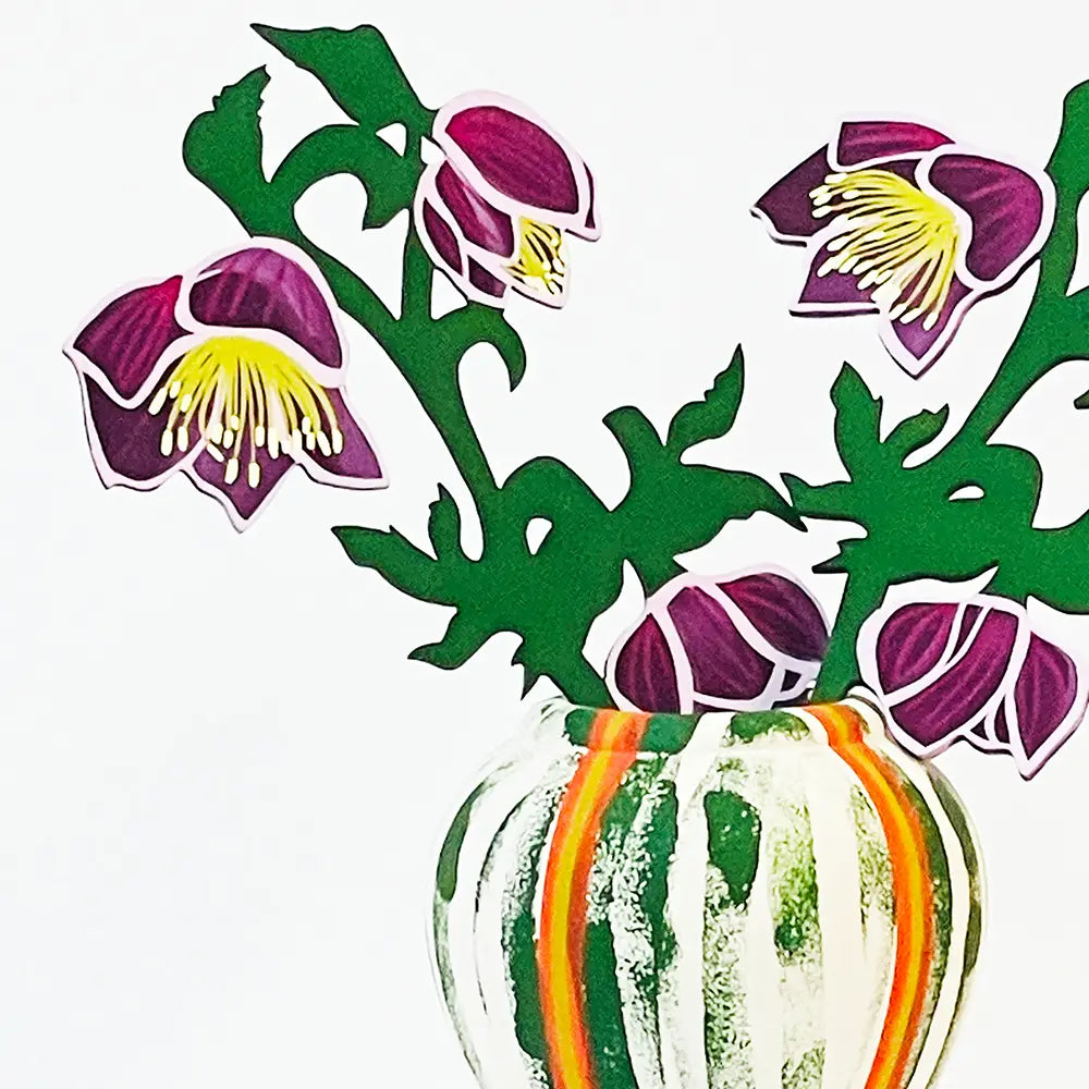 Hellebore - Forever Flower