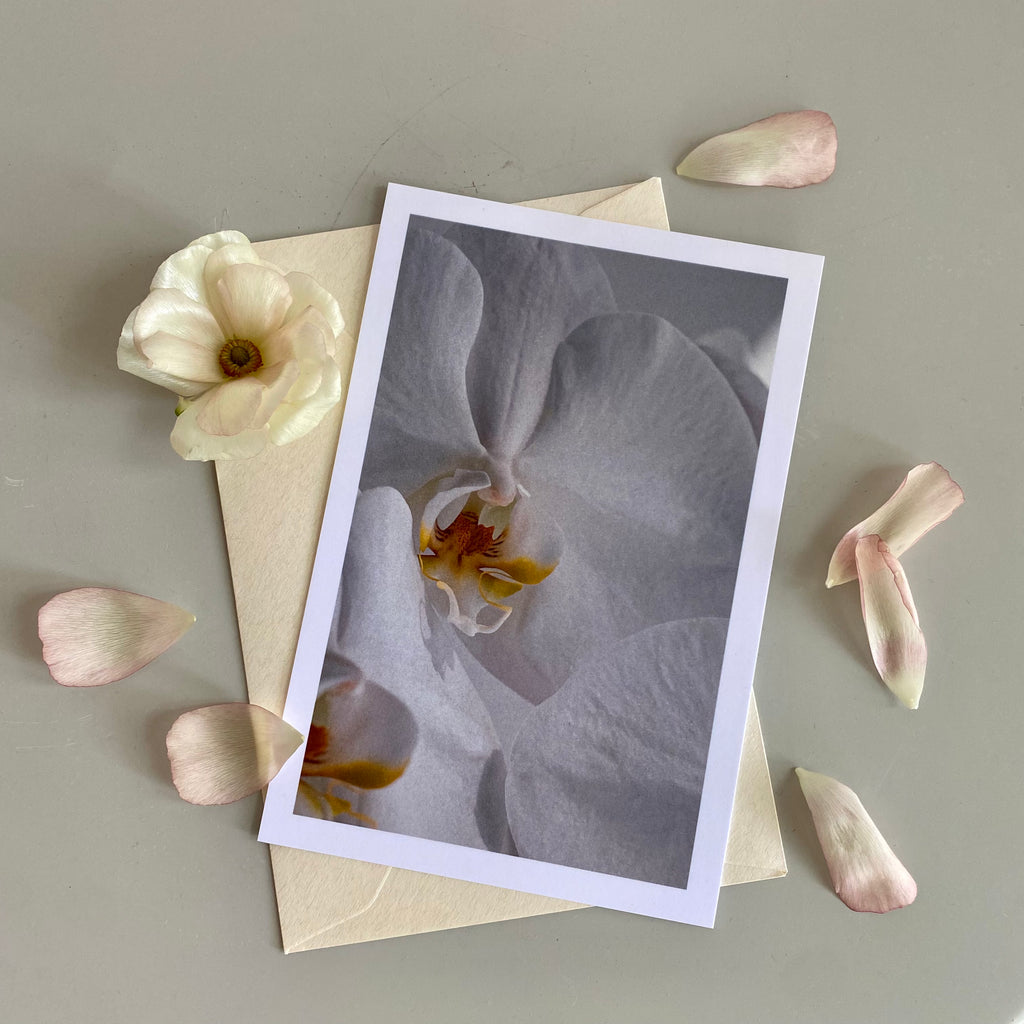 Assorted Flower Cards