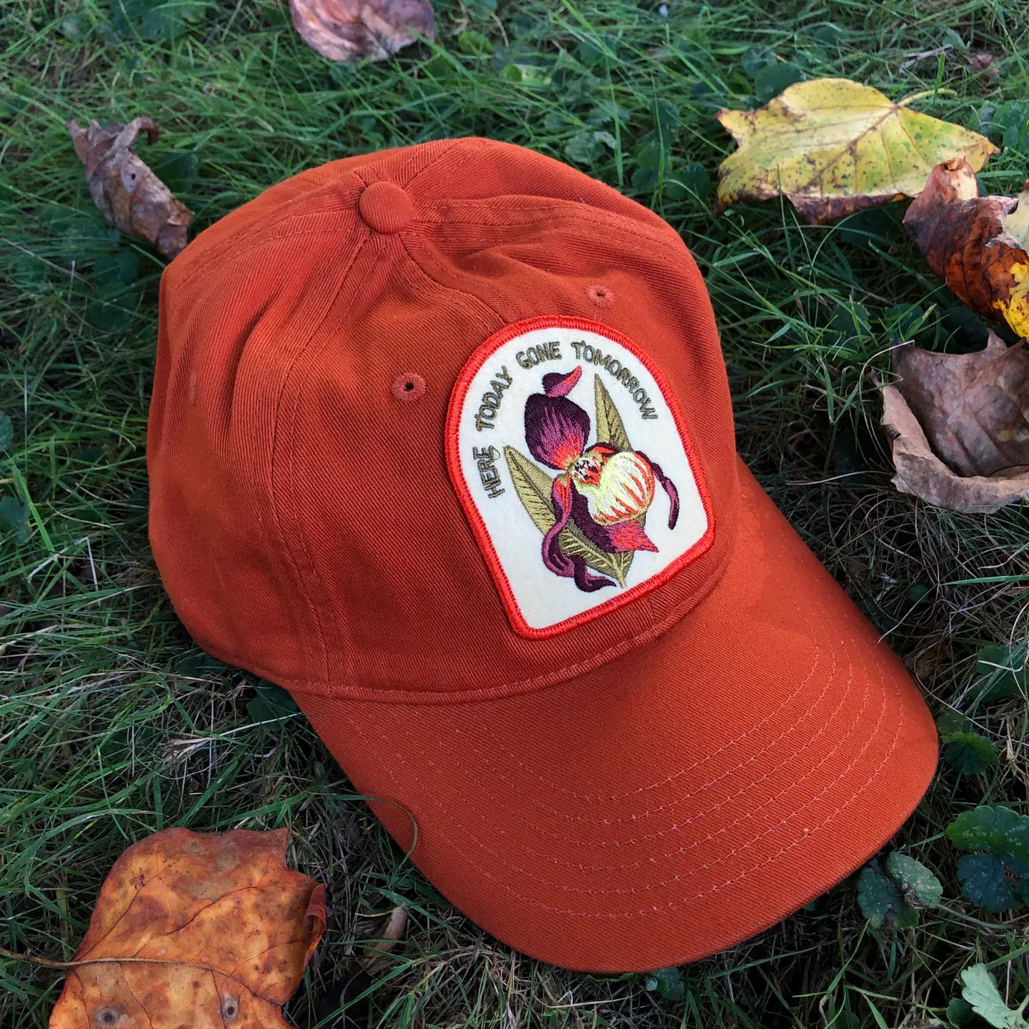 Orange Lady Slipper - Embroidered Baseball Hat