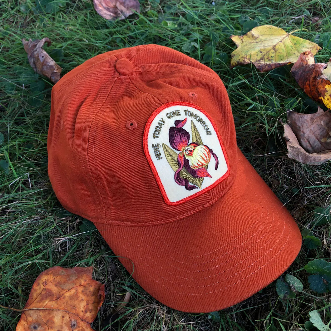 Orange Lady Slipper - Embroidered Baseball Hat