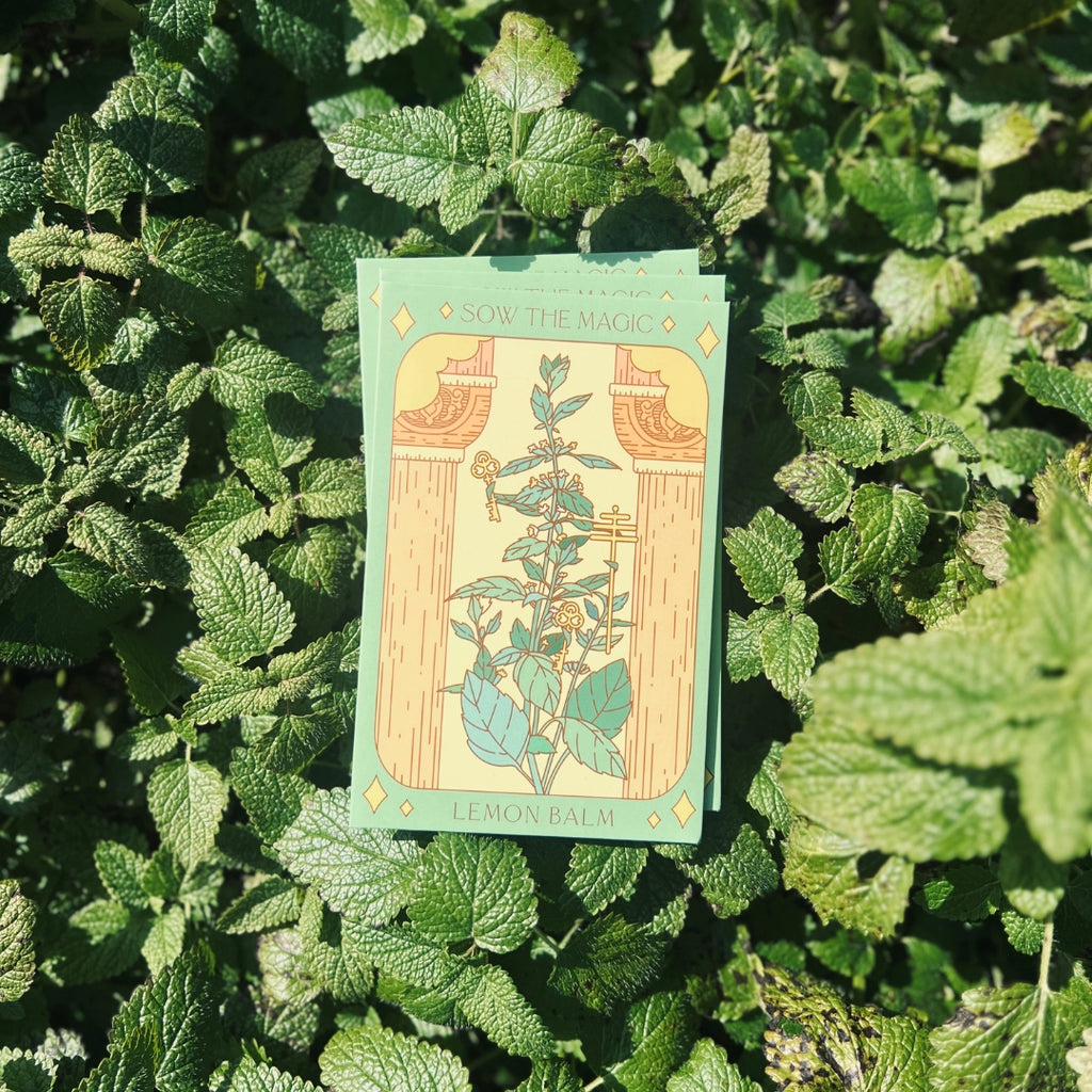 Sow The Magic - Assorted Flower Seeds