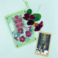 Sow The Magic - Assorted Flower Seeds