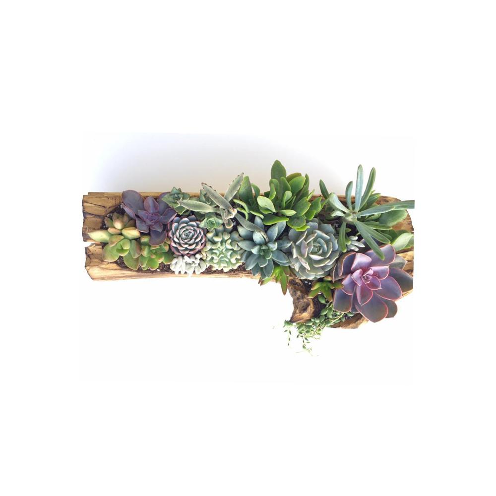 Driftwood Arrangement